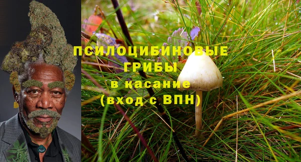 кокс Инта