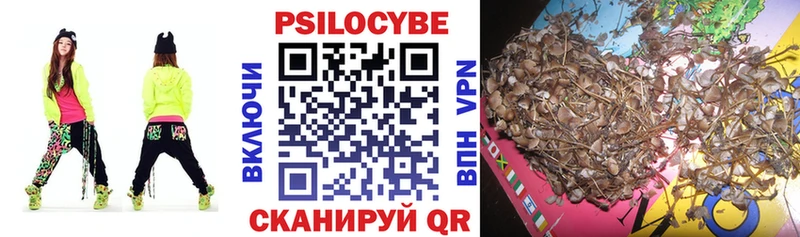 продажа наркотиков  Киреевск  Галлюциногенные грибы мицелий 