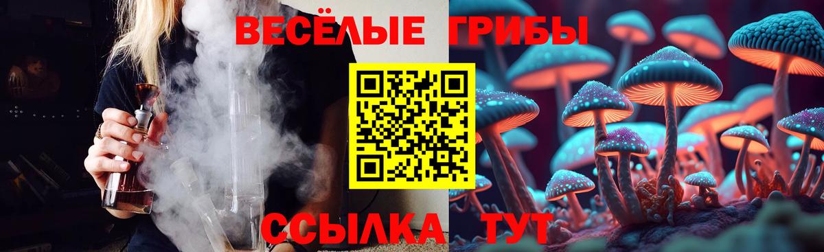 Галлюциногенные грибы GOLDEN TEACHER  где можно купить   Киреевск  Вход с VPN 